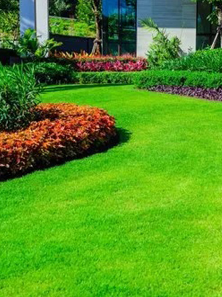 Garden Design Melbourne