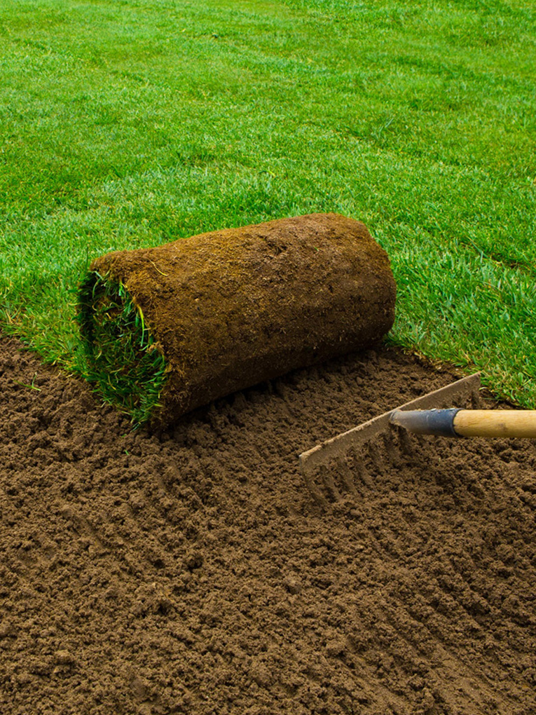 Instant Turf Installation Melbourne