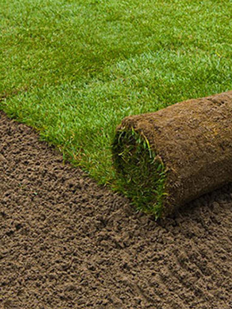 Natural turf installation Melbourne